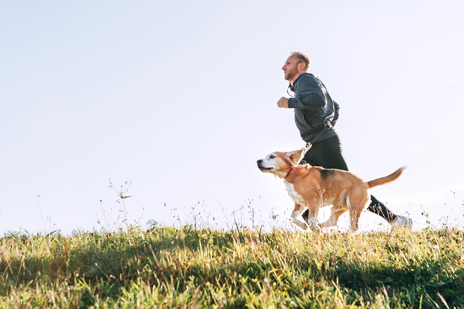 daily-wag-fido-fitness-exercising-with-your-dog-hero-image
