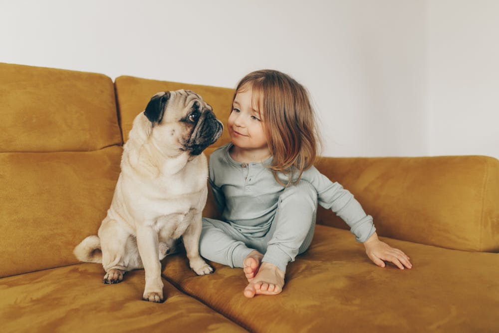 daily-wag-dog-sitting-with-kiddos-knowing-these-10-tricks-will-make-dog-sitting-instantly-better-hero-image