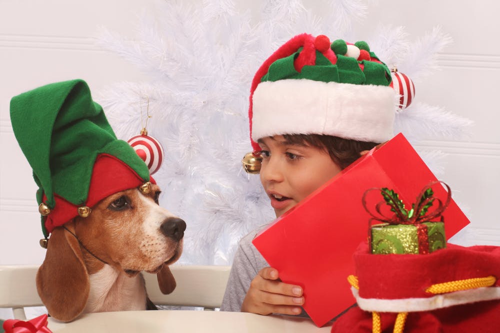 daily-wag-7-fun-christmas-activities-your-kids-and-fido-will-love-hero-image