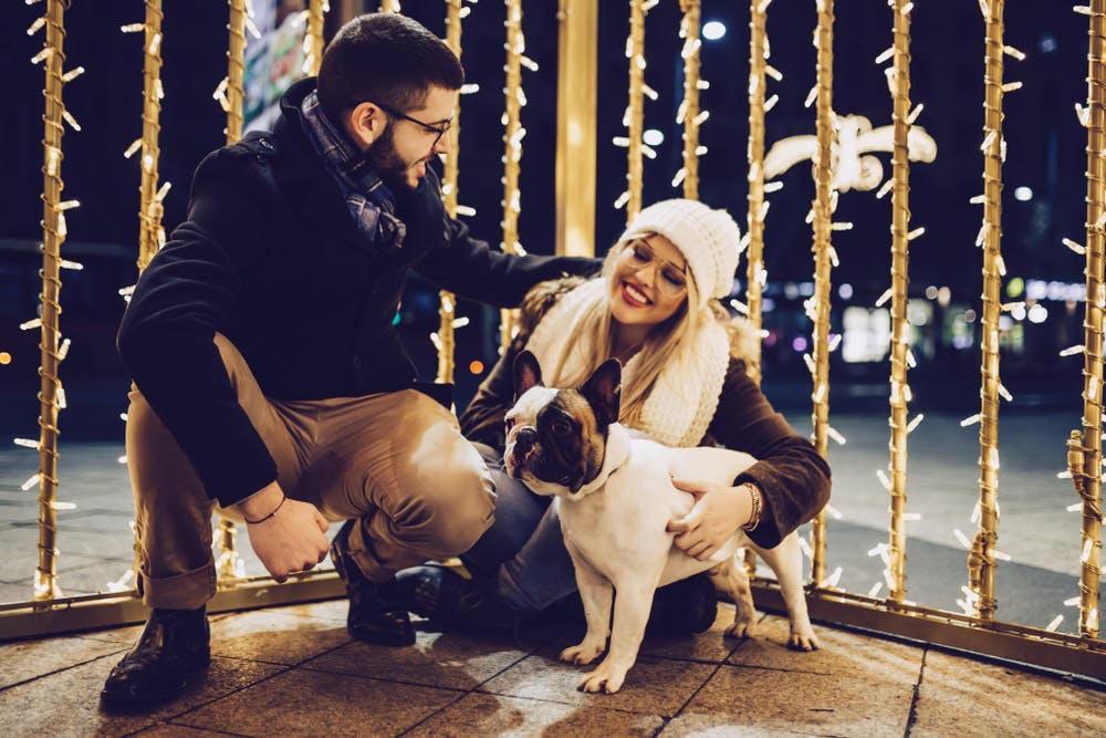daily-wag-5-best-christmas-holiday-lights-in-seattle-wa-to-walk-your-dog-to-hero-image