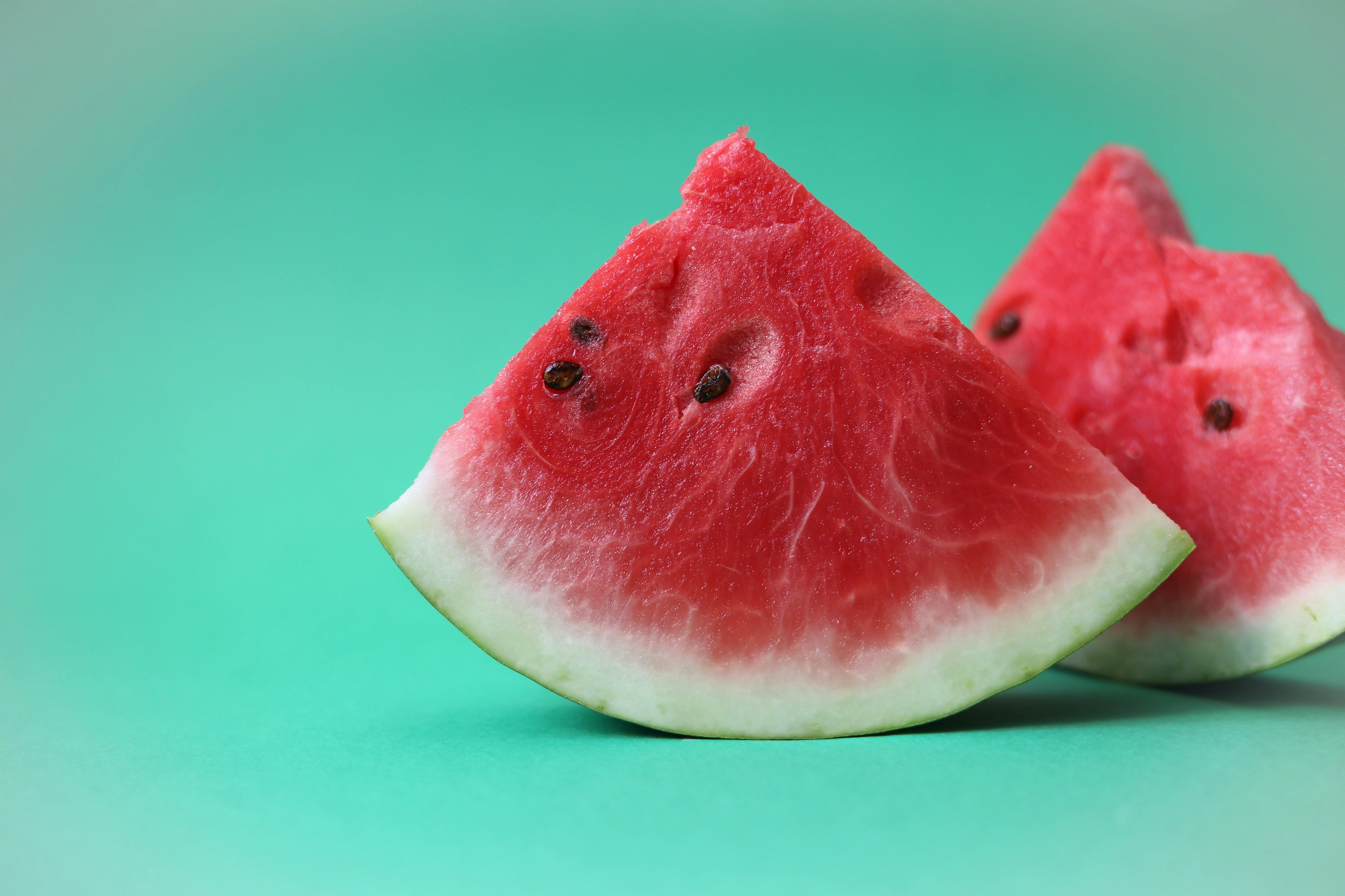 daily-wag-can-cats-eat-watermelon-hero-image