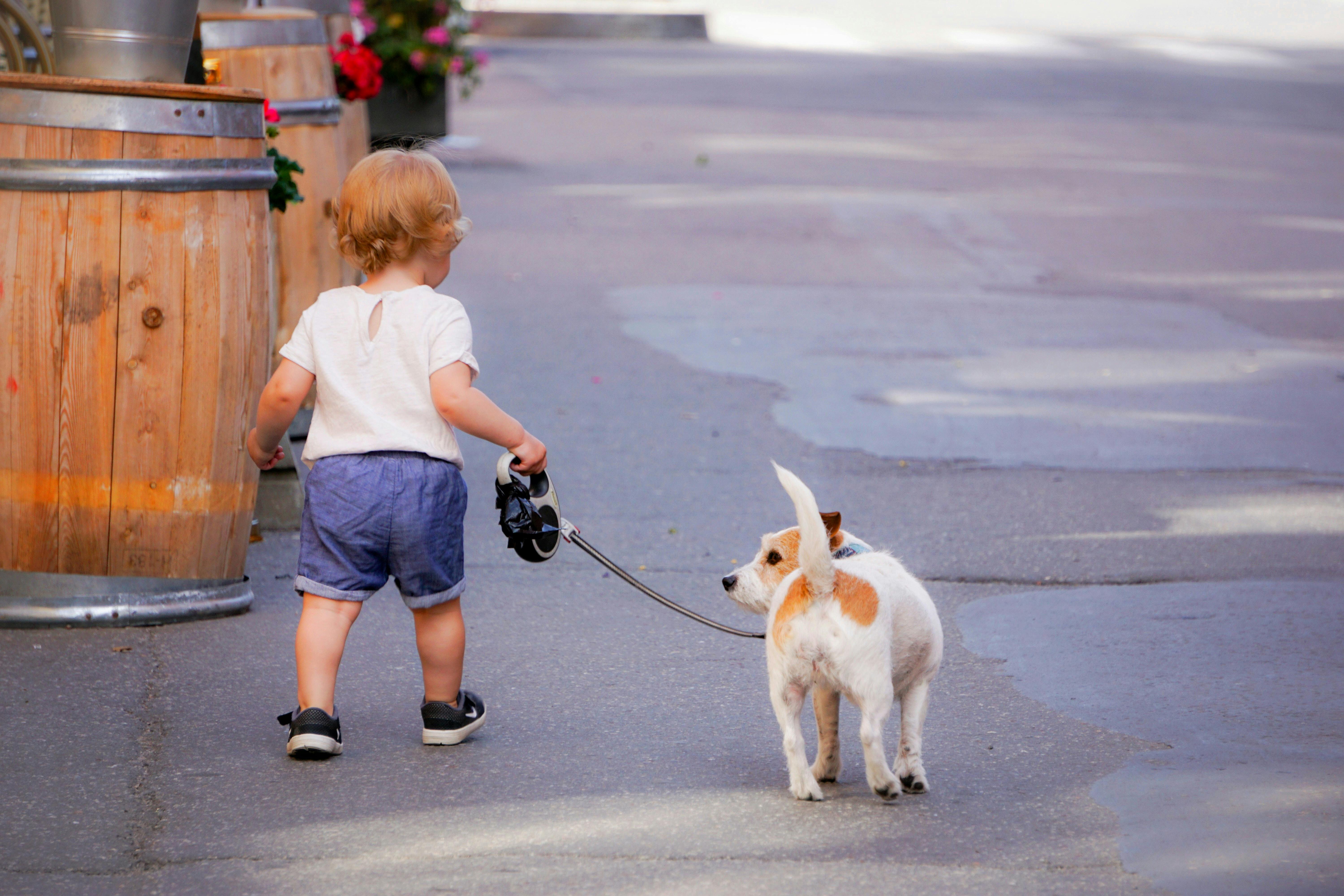 how far should you walk a small dog