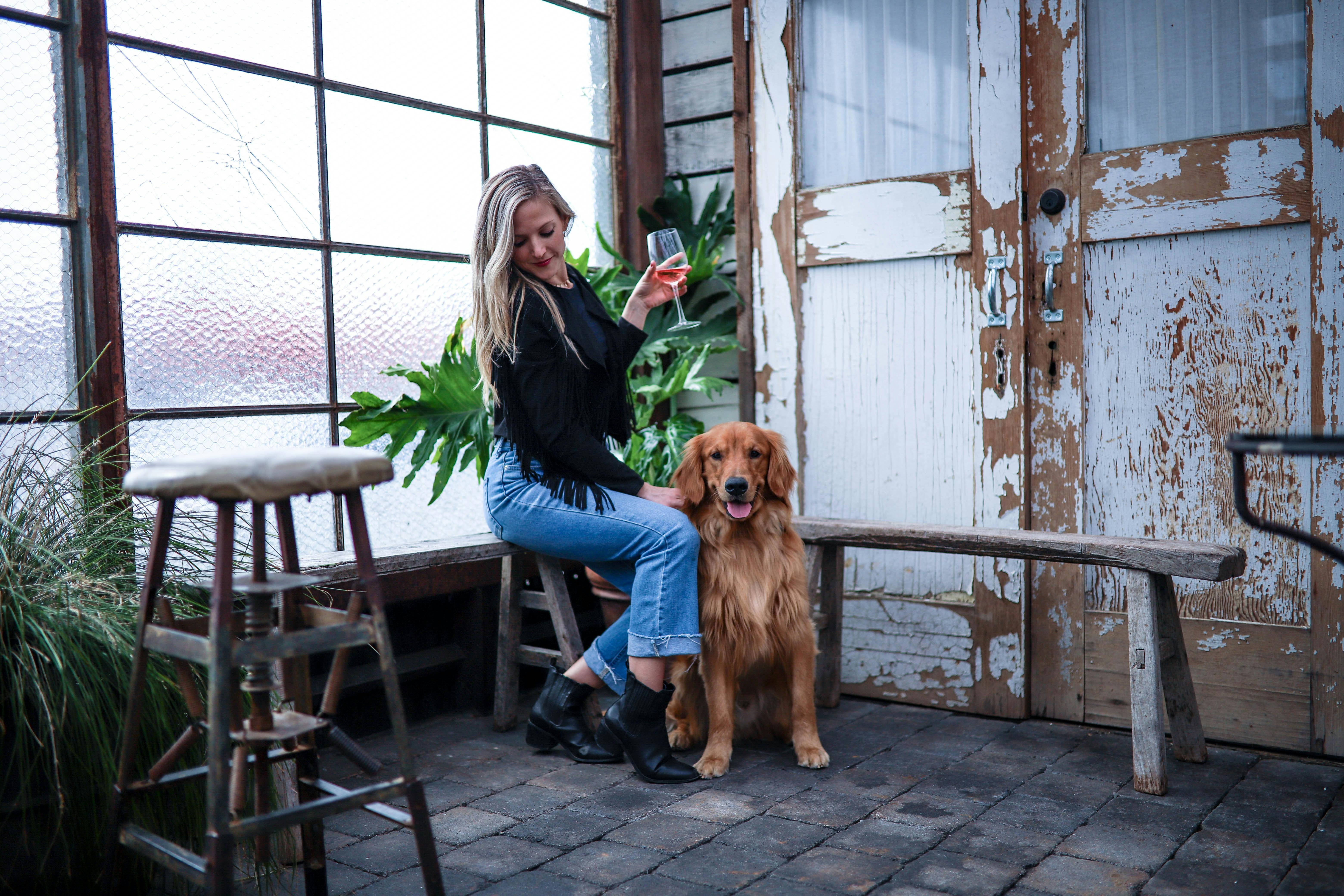 daily-wag-5-dog-friendly-bars-in-san-francisco-your-pup-should-visit-hero-image