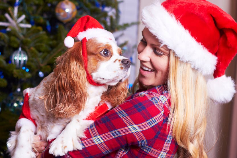 The Best Holiday Gifts for Dog Moms in 2021 (6 is Adorable!)