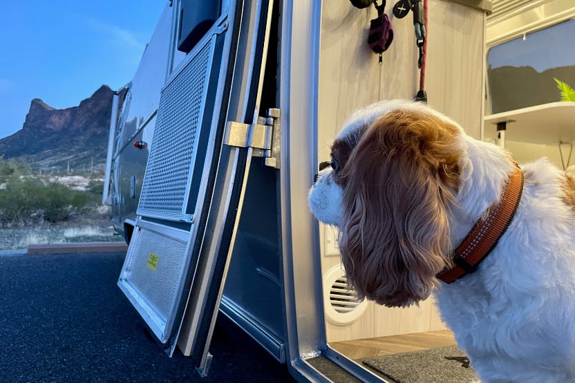 Benefits of Dog RV Temperature Monitor