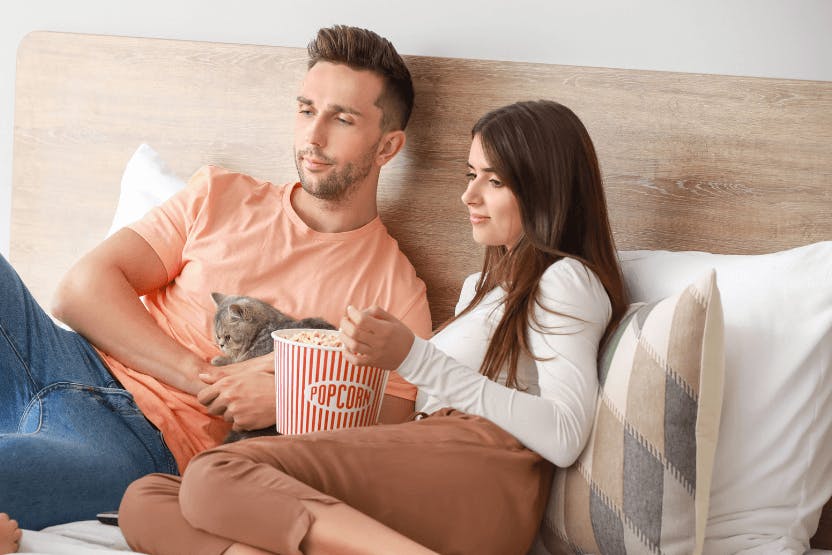 daily-wag-kitty-movie-night-5-top-romances-to-get-your-cat-snuggling-hero-image