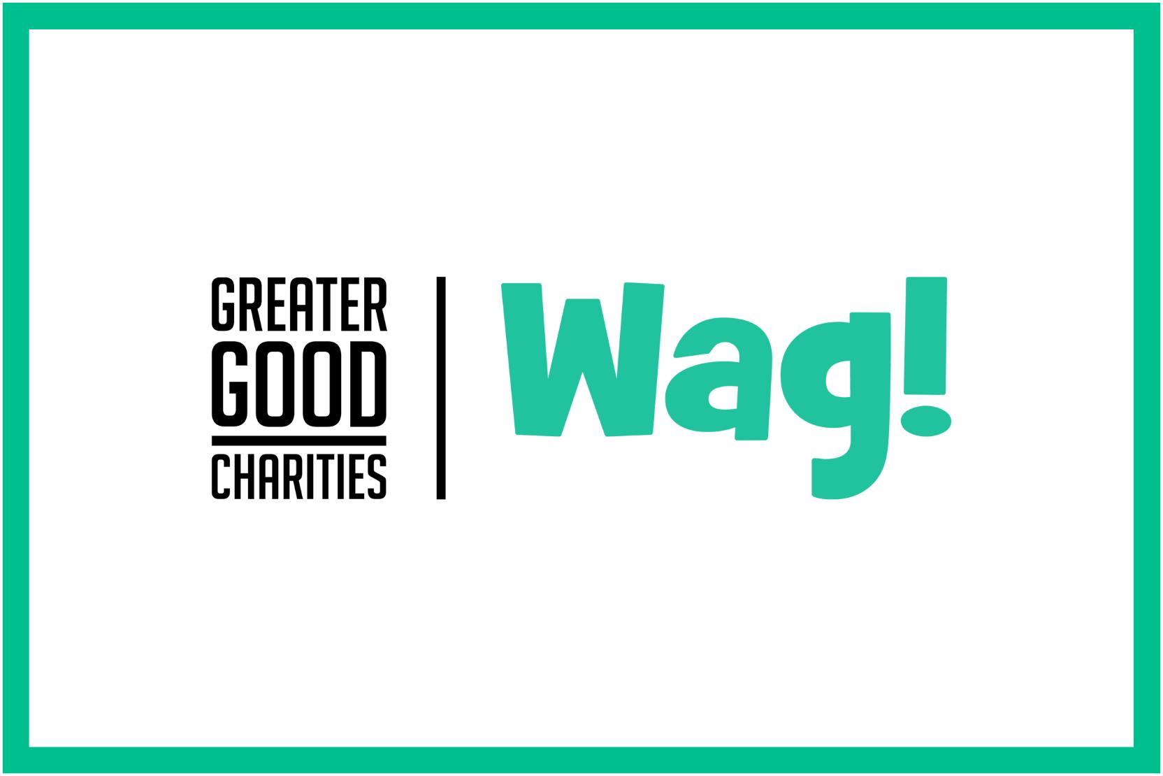 daily-wag-how-greater-good-charities-is-helping-rescue-pets-in-2022-hero-image