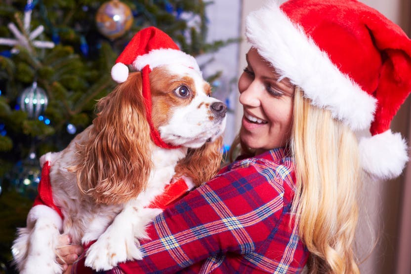 The Best Holiday Gifts for Dog Moms