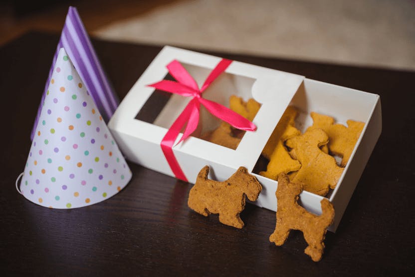 daily-wag-level-up-your-baking-game-with-these-pet-themed-cookie-cutters-hero-image