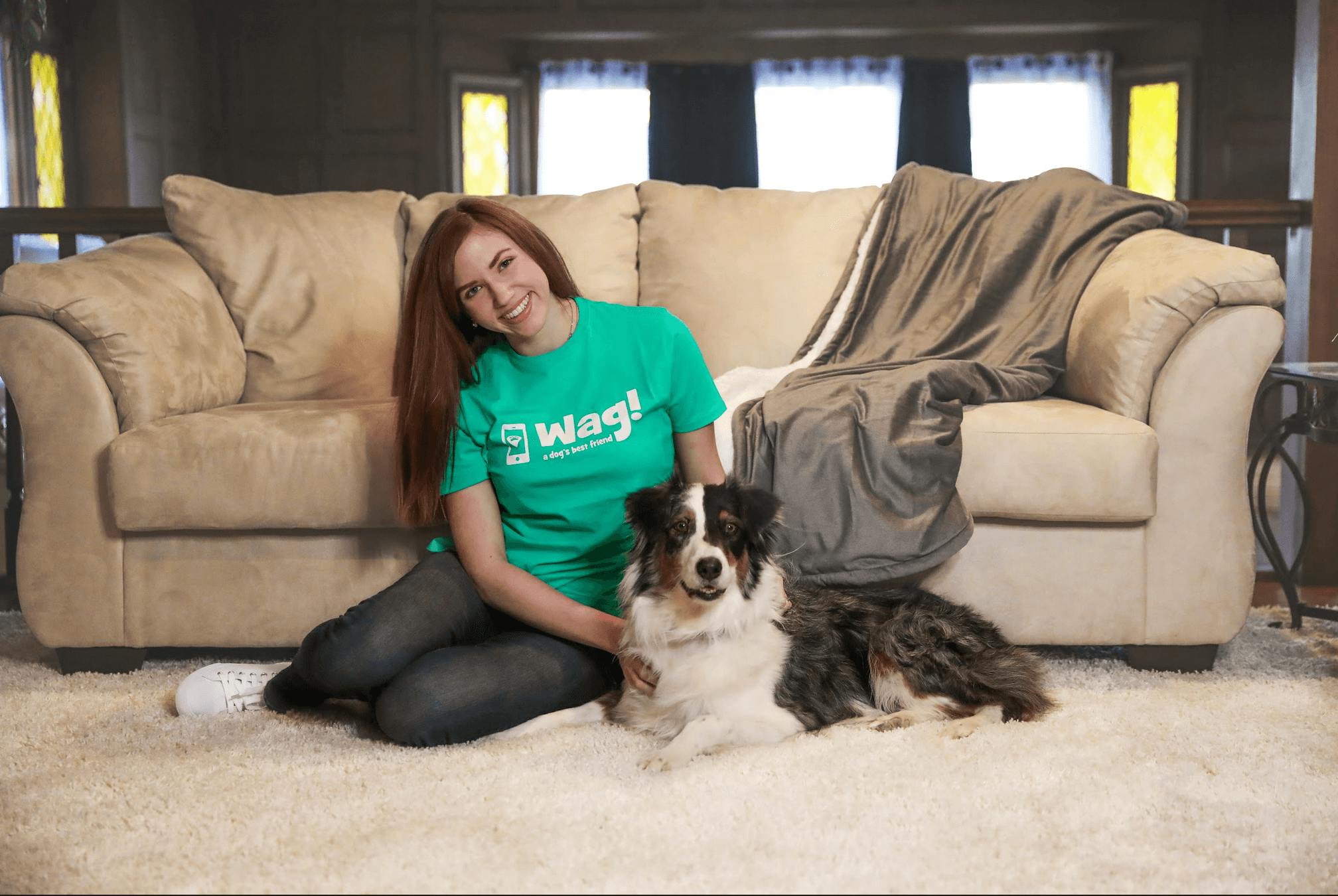 daily-wag-how-to-host-dog-boarding-in-your-home-with-other-pets-hero-image