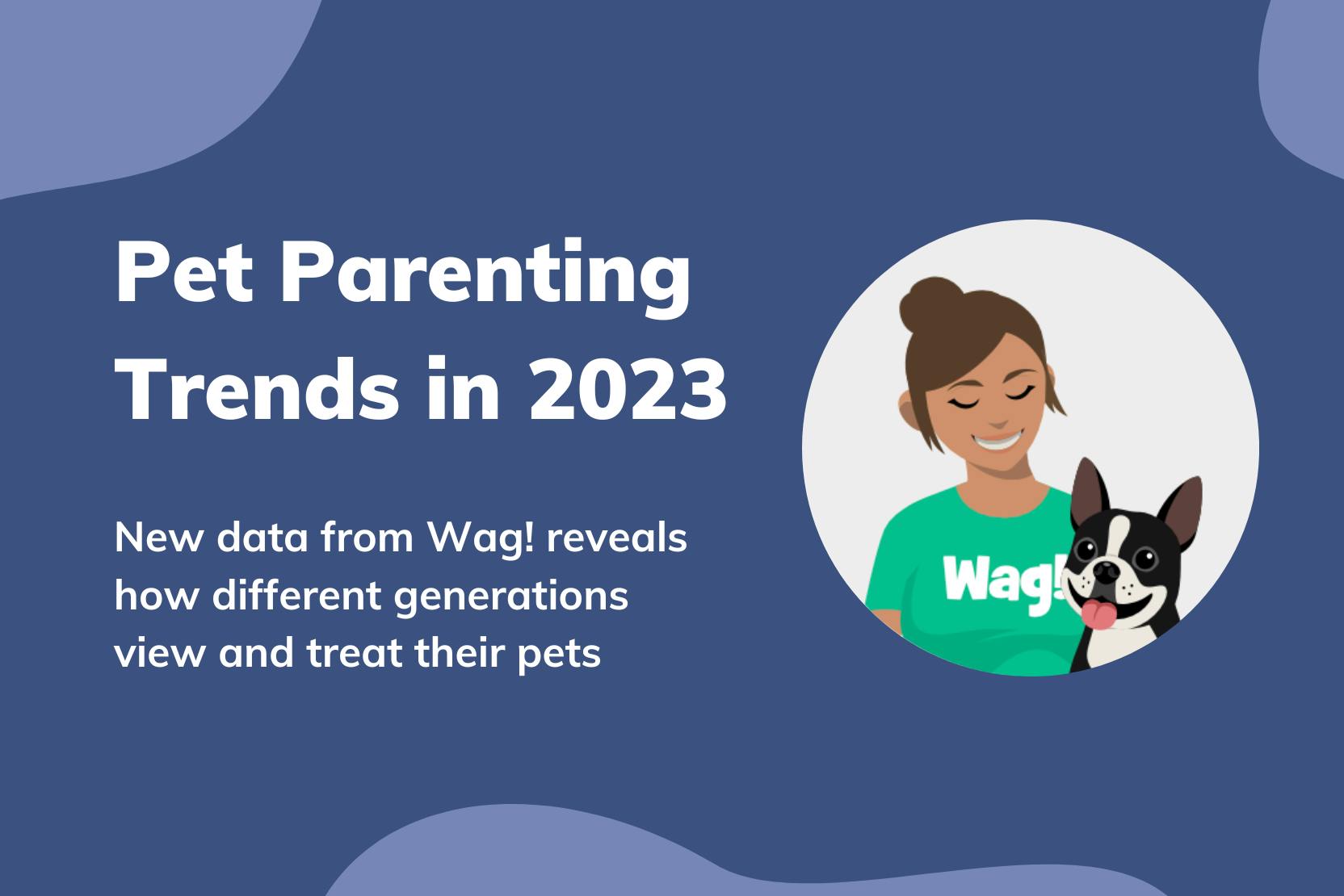 daily-wag-new-wag-survey-the-state-of-pet-parenting-in-2023-hero-image