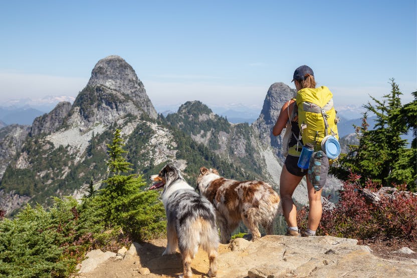 daily-wag-safety-tips-for-hiking-backcountry-trails-with-your-dog-hero-image