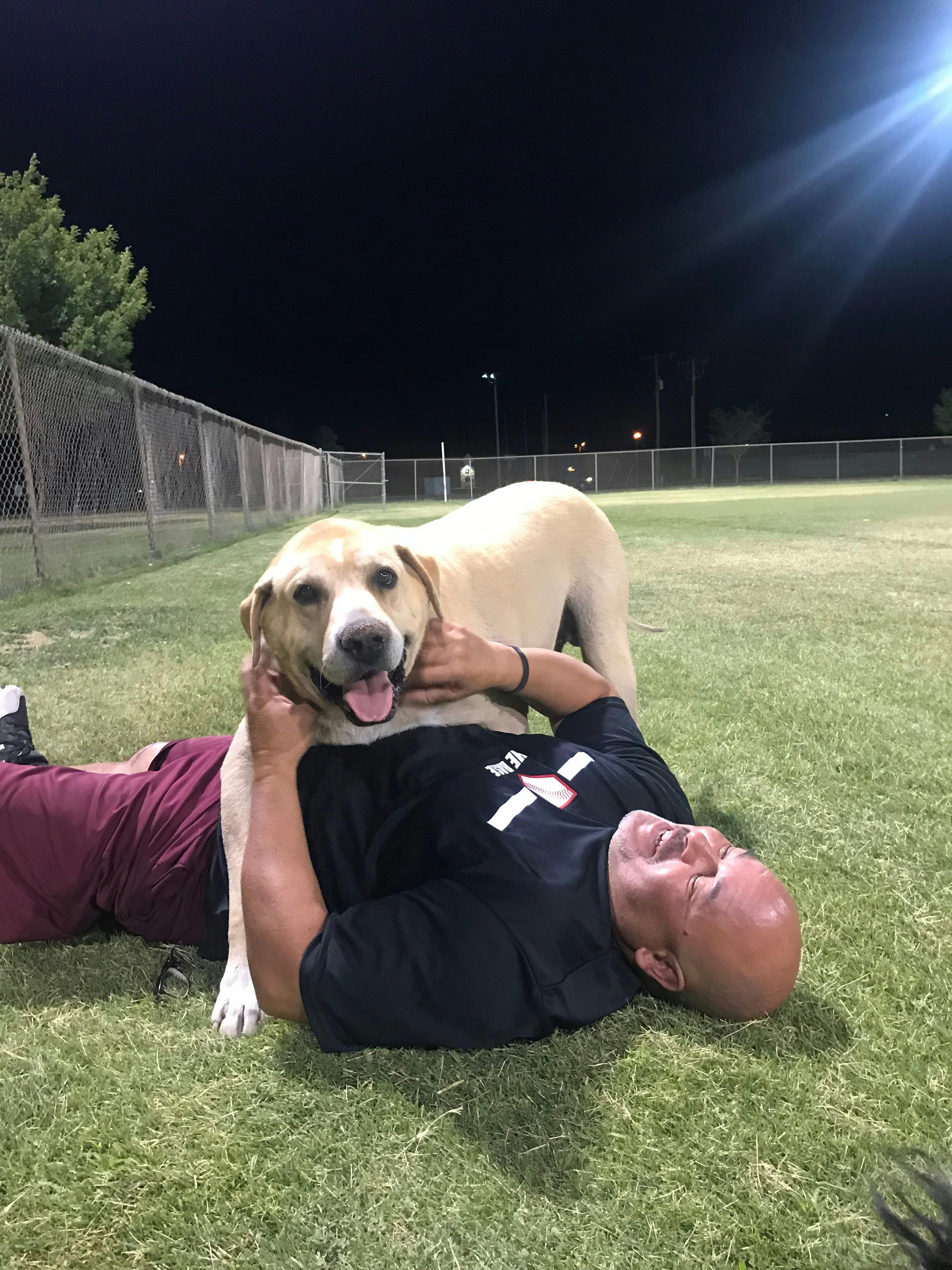 baseball dog names