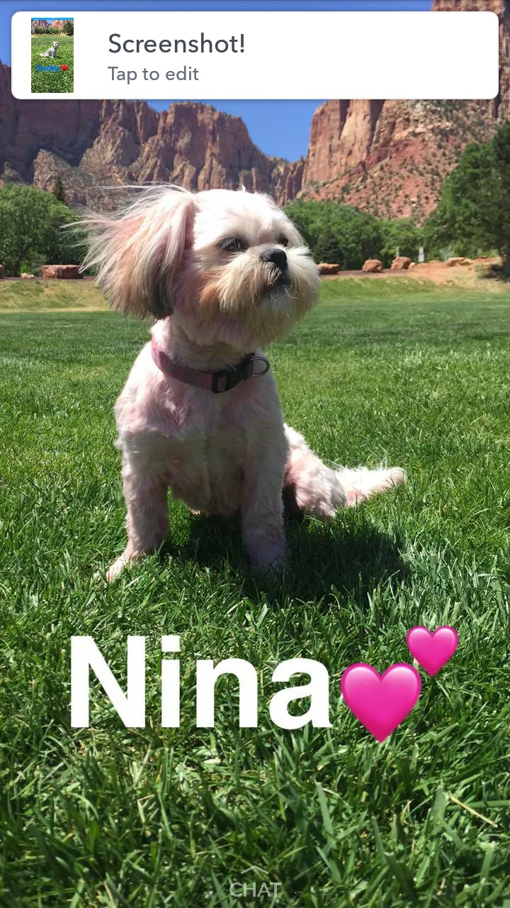 Nina's name story for Best 4-Letter Dog Names