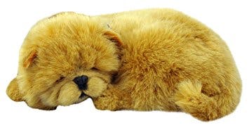 Teddy's name story for Chow Chow Dog Names