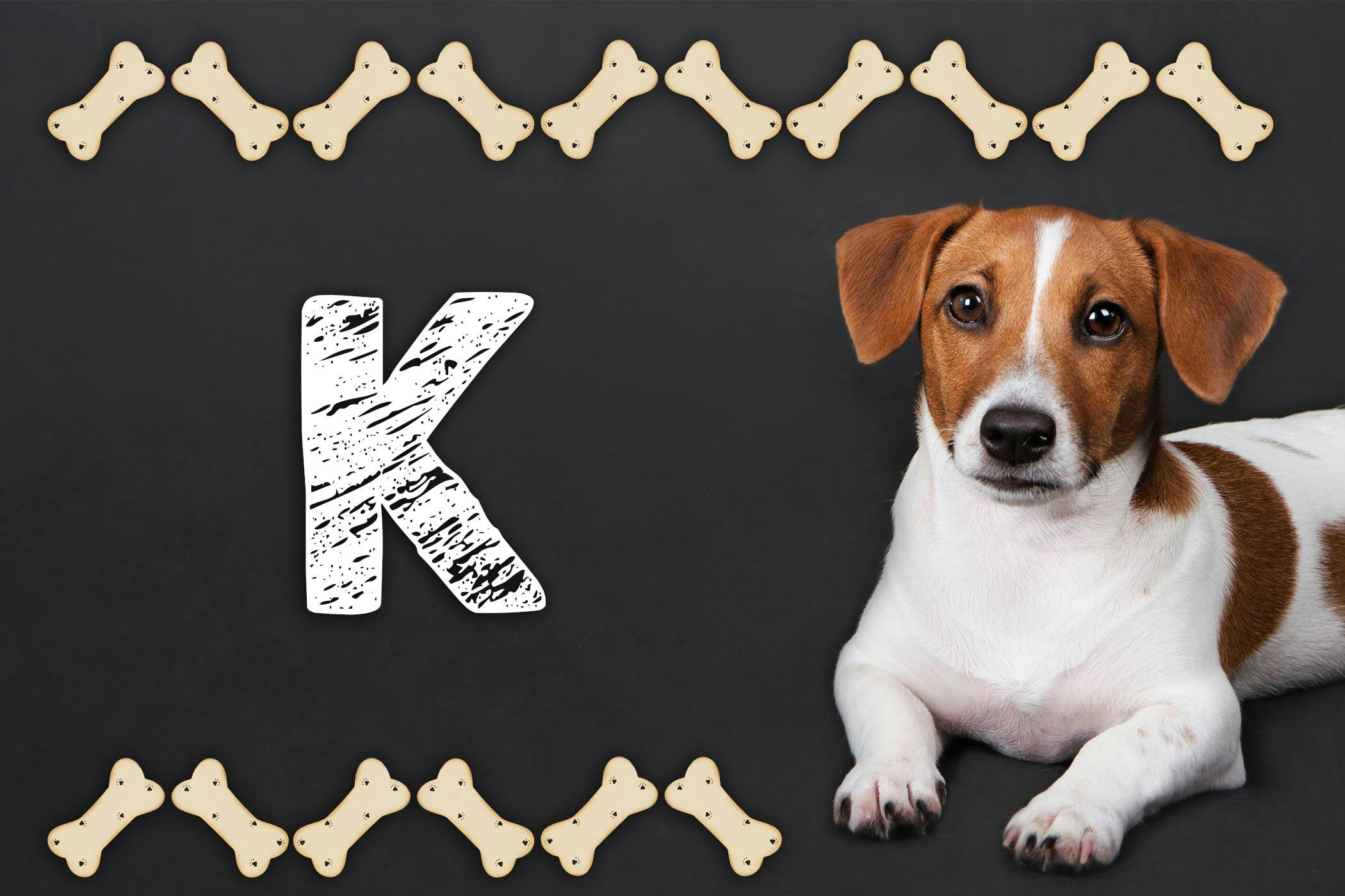 Male Dog Names K