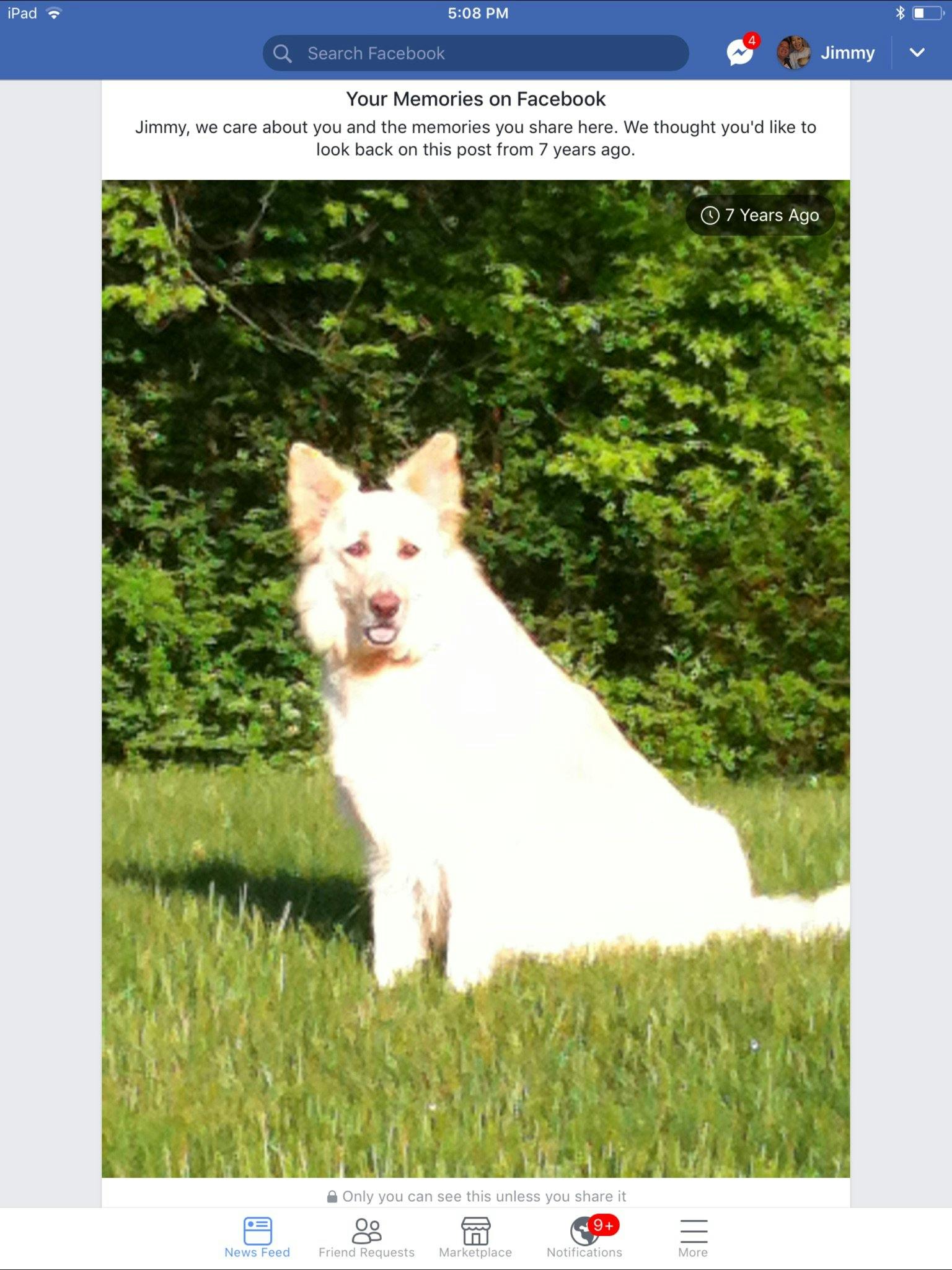 Bindi's name story for White German Shepherd Dog Names