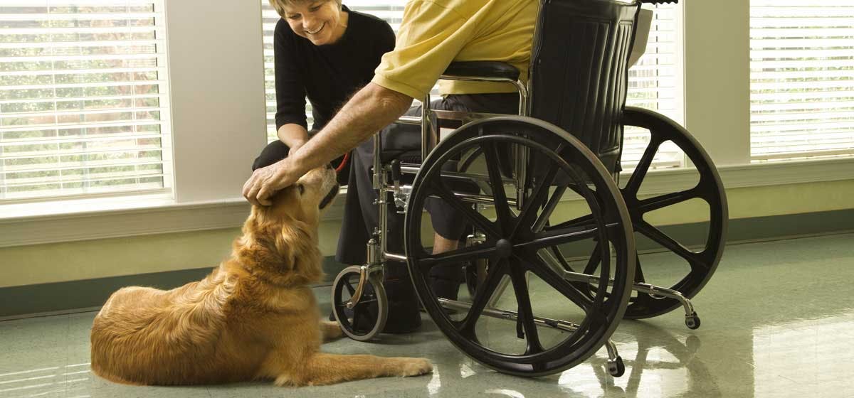 can-a-dogs-help-a-disabled-person