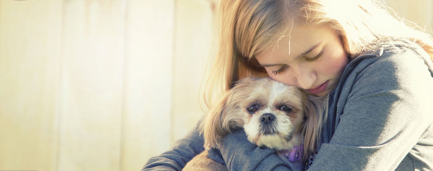Can Dogs Feel Depression?