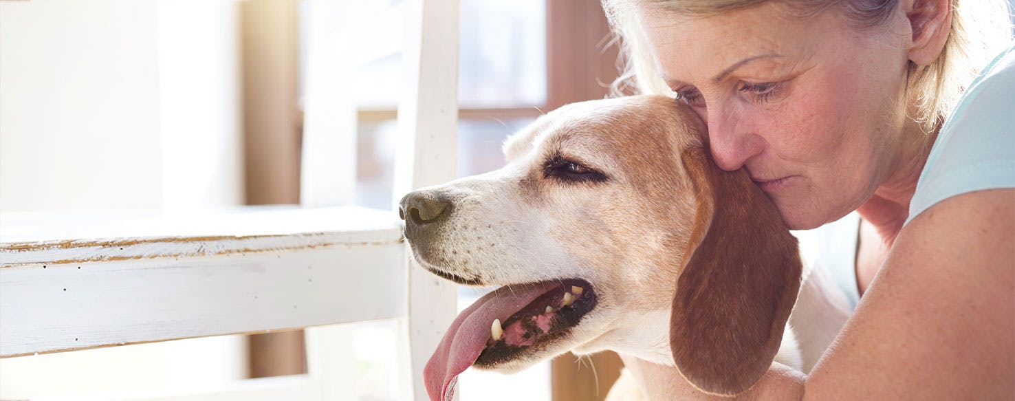 Can Dogs Help with Anxiety?