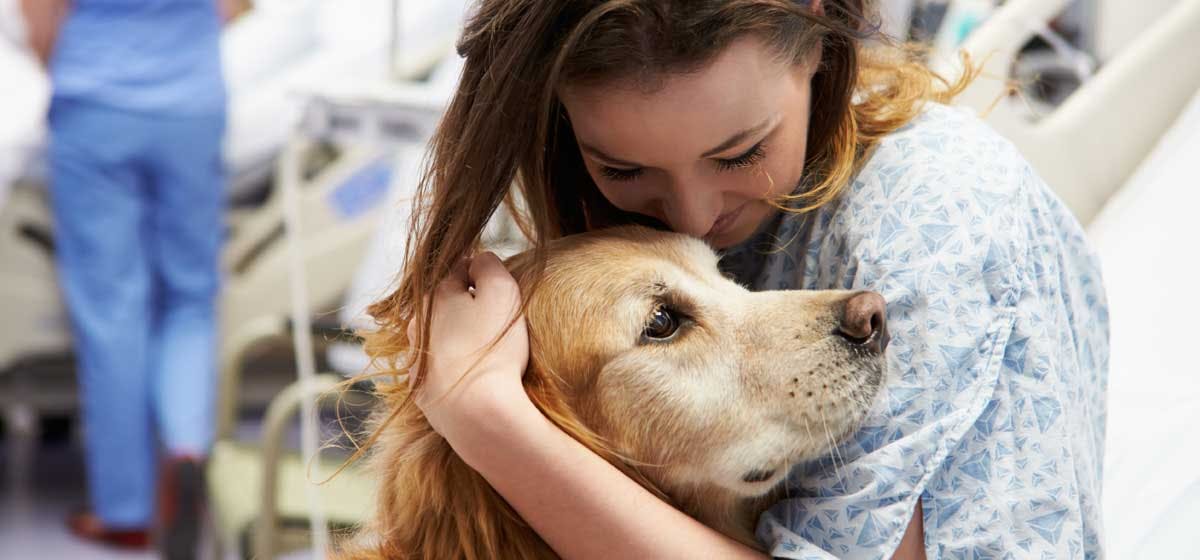 Can Dogs Help With Grief Wag