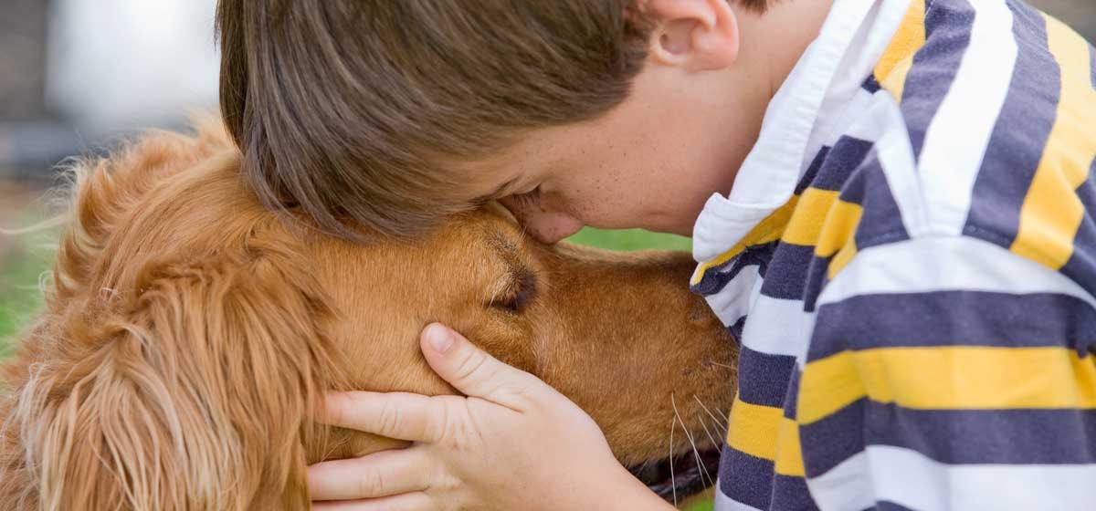 Can Dogs Help With Grief Wag