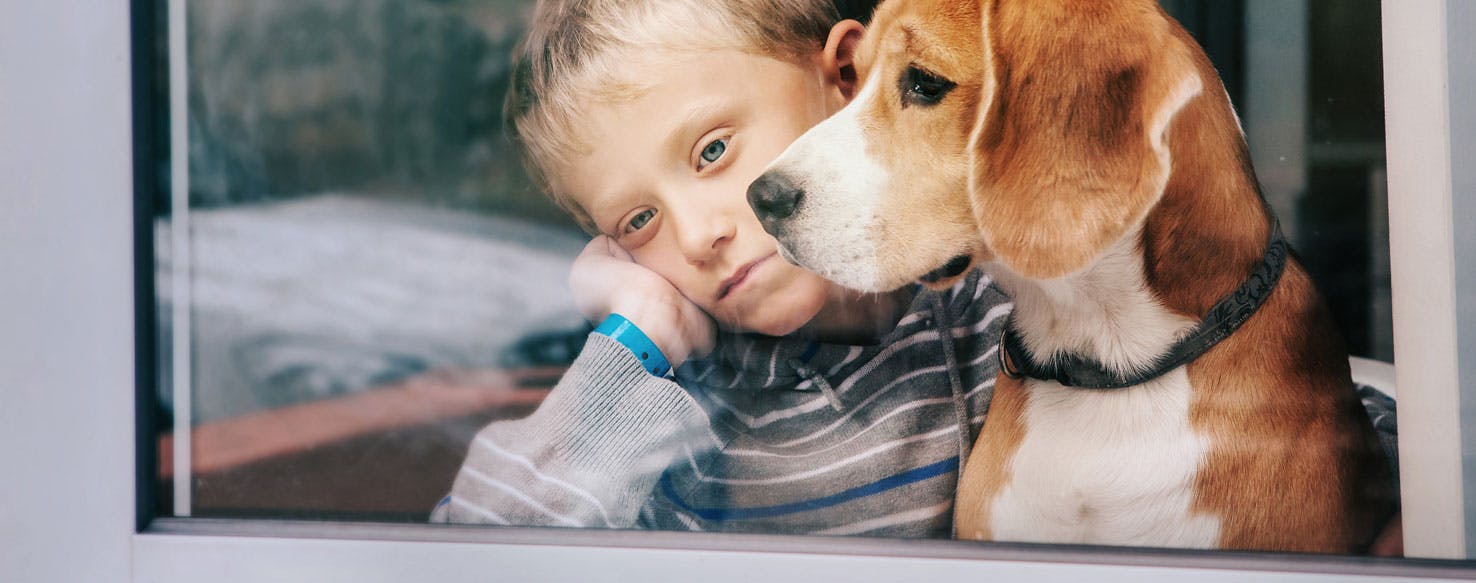 can dogs help with social anxiety