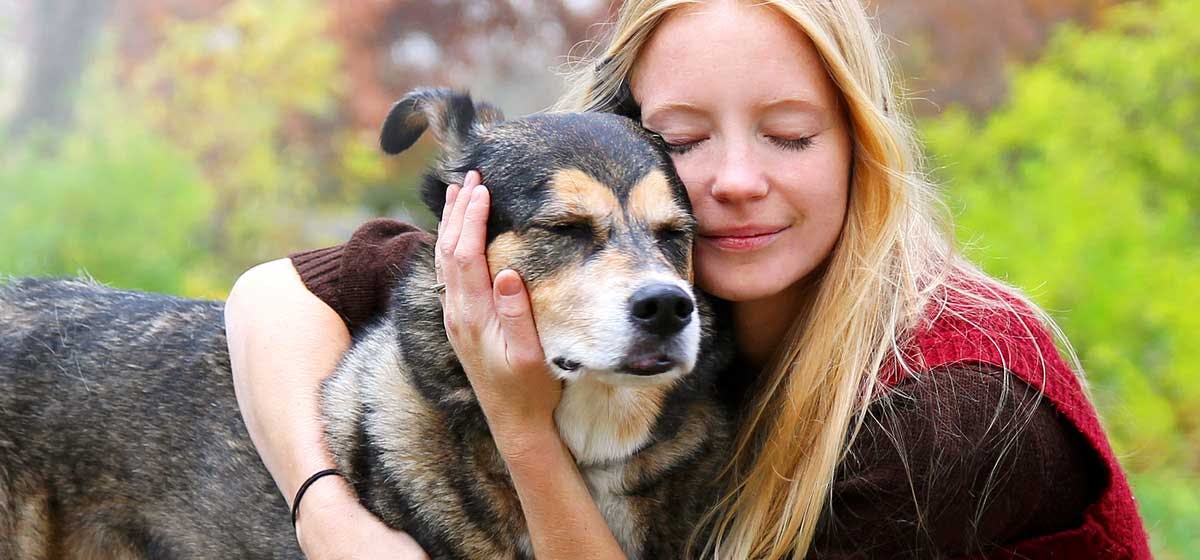 can dogs help with social anxiety