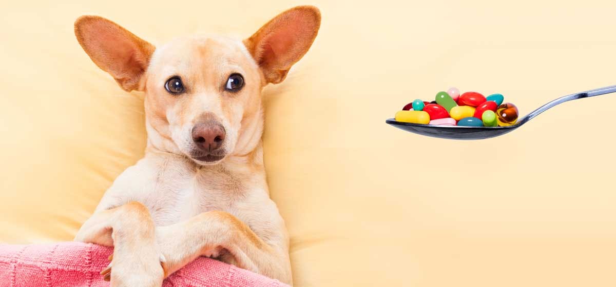 how many milligrams of aspirin is safe for a dog