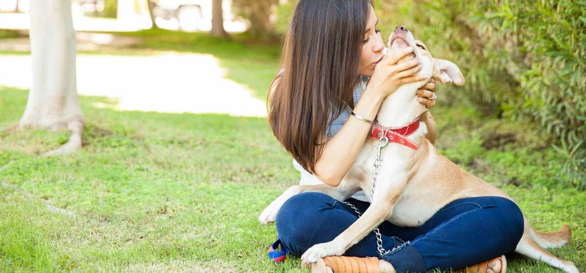 can-dogs-understand-human-kisses