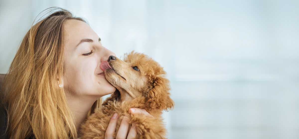 do dogs like getting kissed