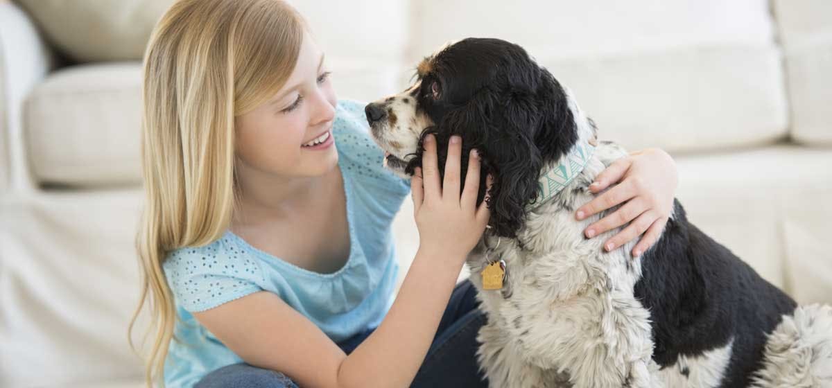 do dogs recognize human smiles