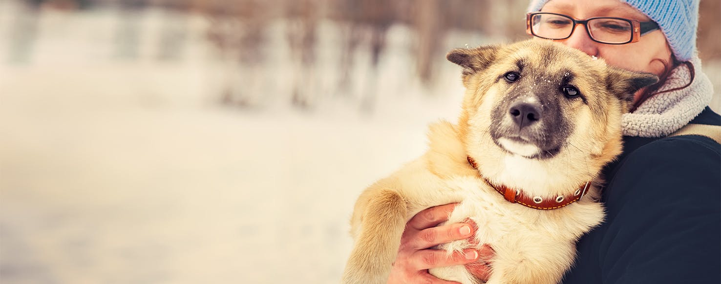 Can Dogs Tell Human Gender?