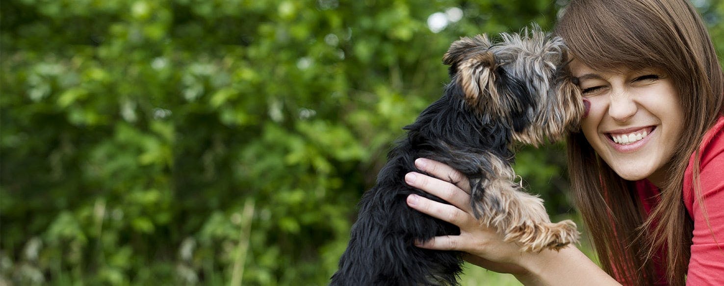 what can dogs smell on humans