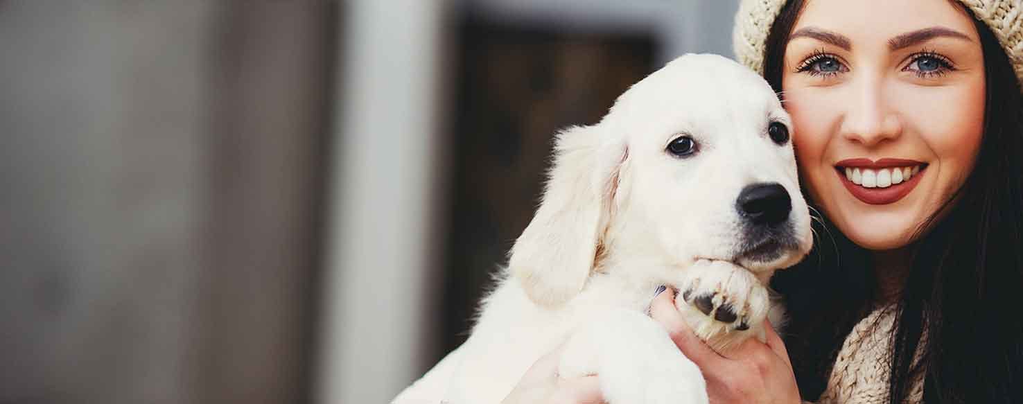 Dogs tilt their heads when they are 'confused,' study finds