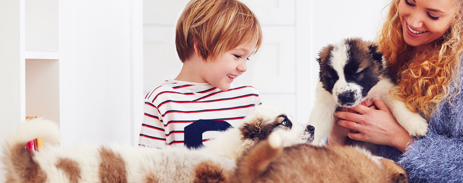 Emotions, body language and mood: how well do you know your dog?