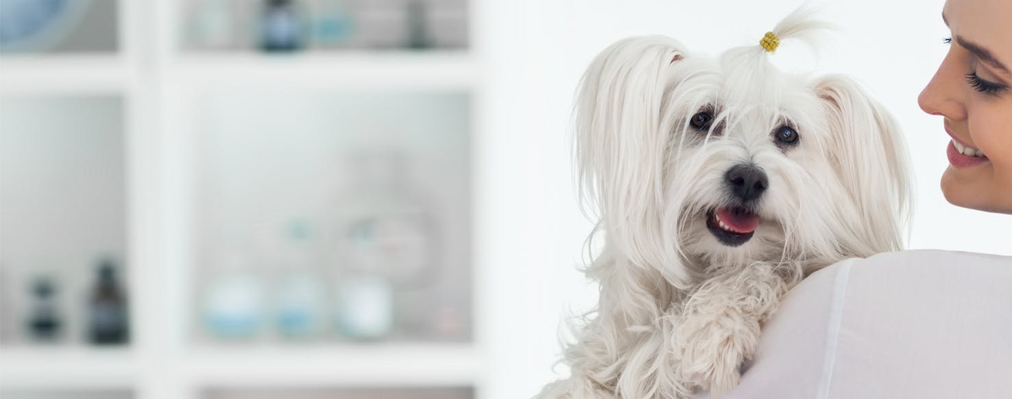 a list of human meds dogs can take