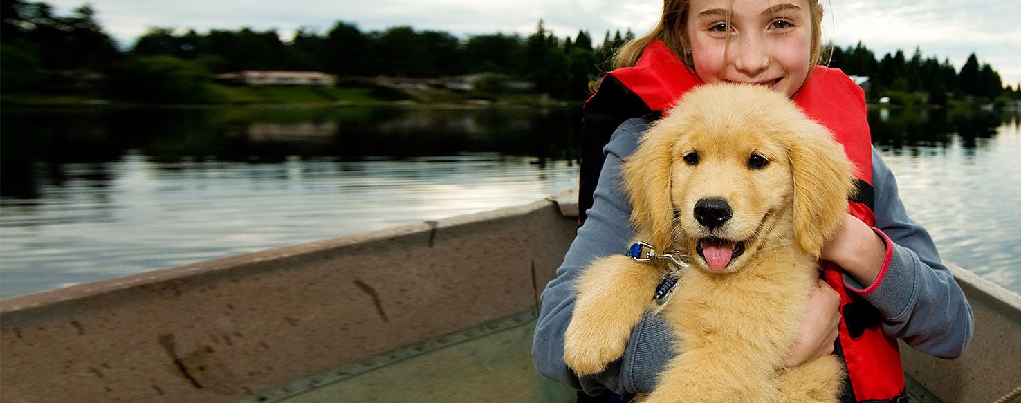 Boat Dog Accessories Recommended by Something Wagging