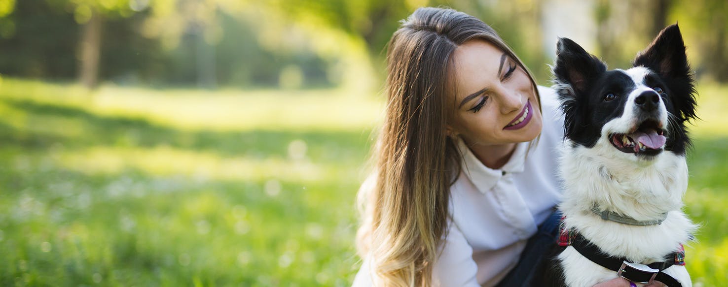 Can you use a shock hotsell collar on a pregnant dog