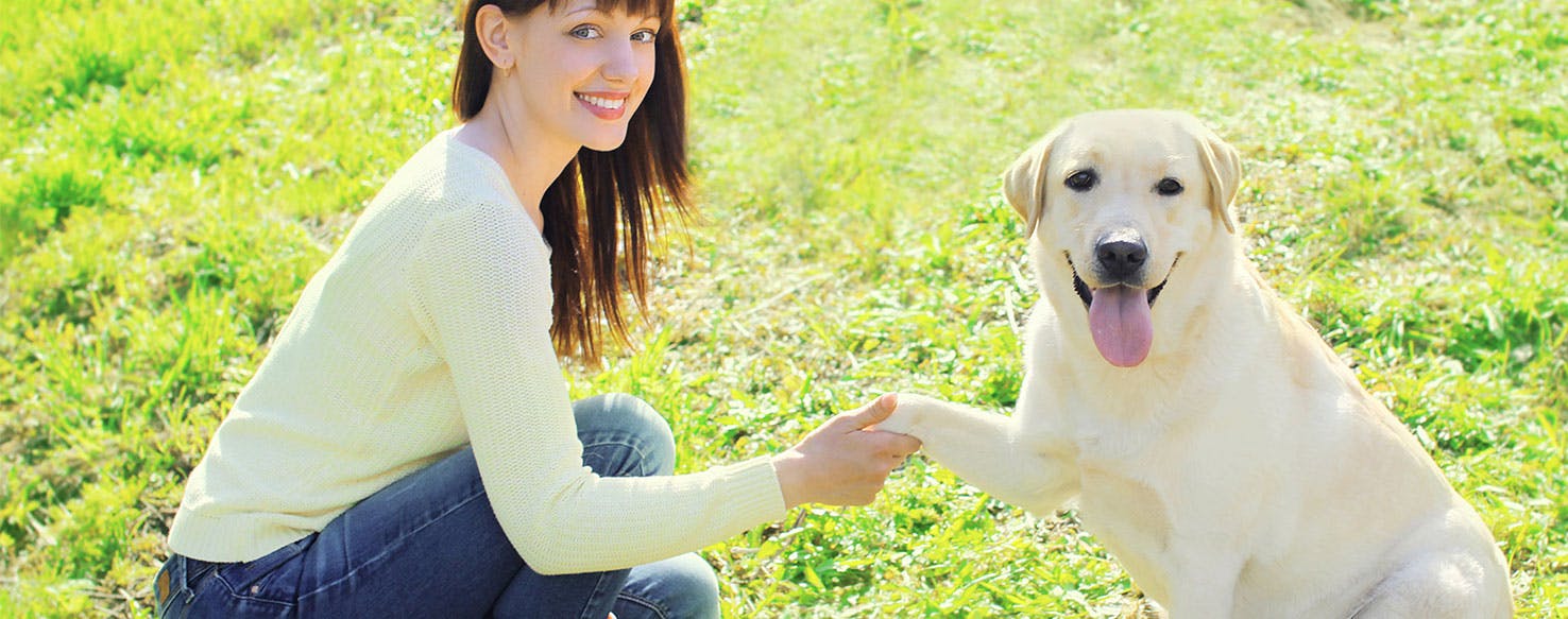 can dogs understand human language