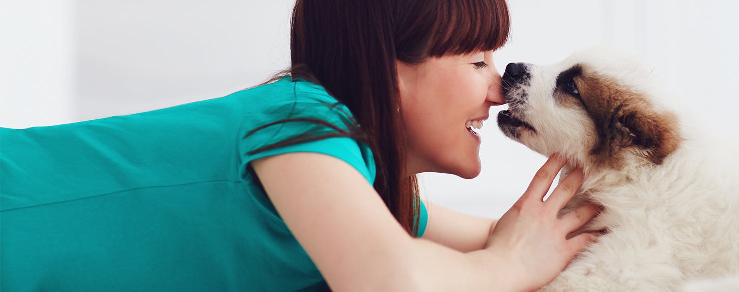 Can Dogs Smell Ovarian Cancer?