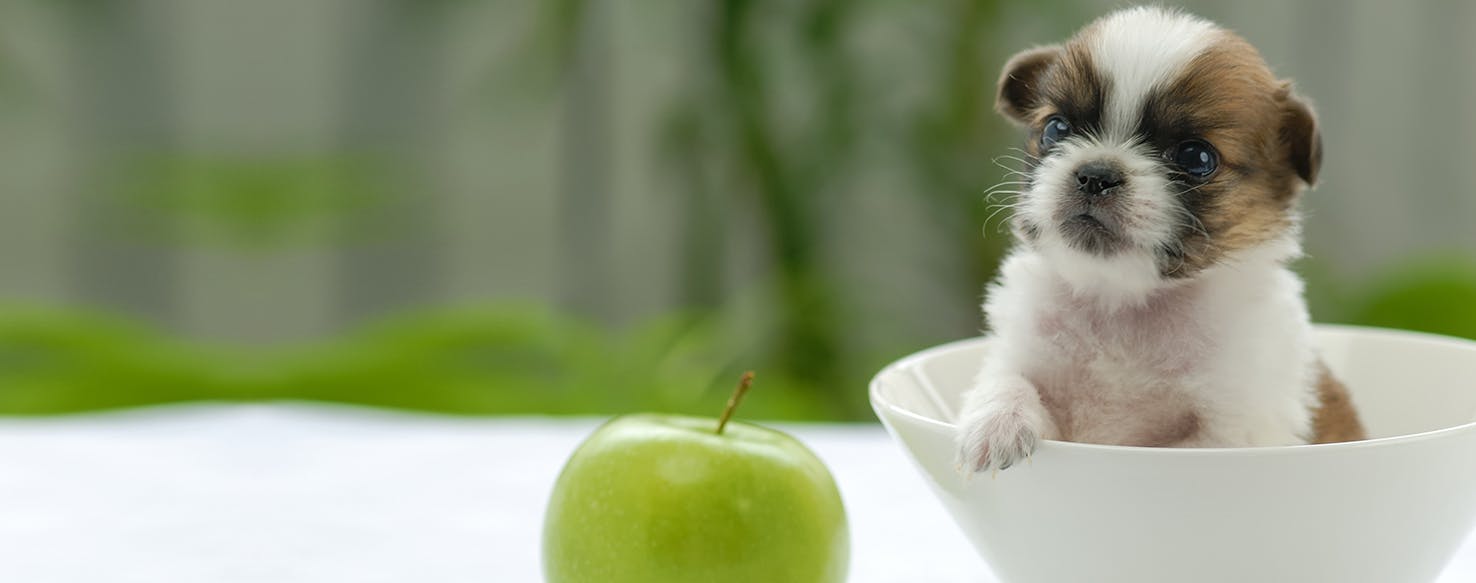 are granny smith apples good for dogs