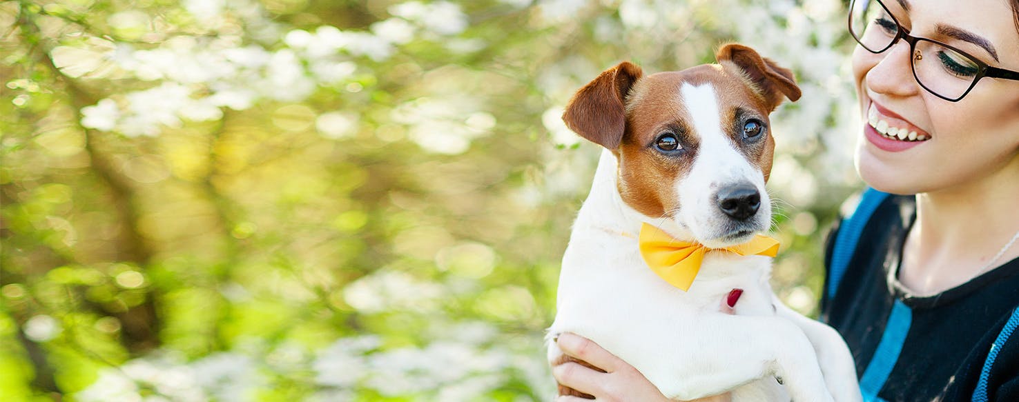 dog hearing frequency