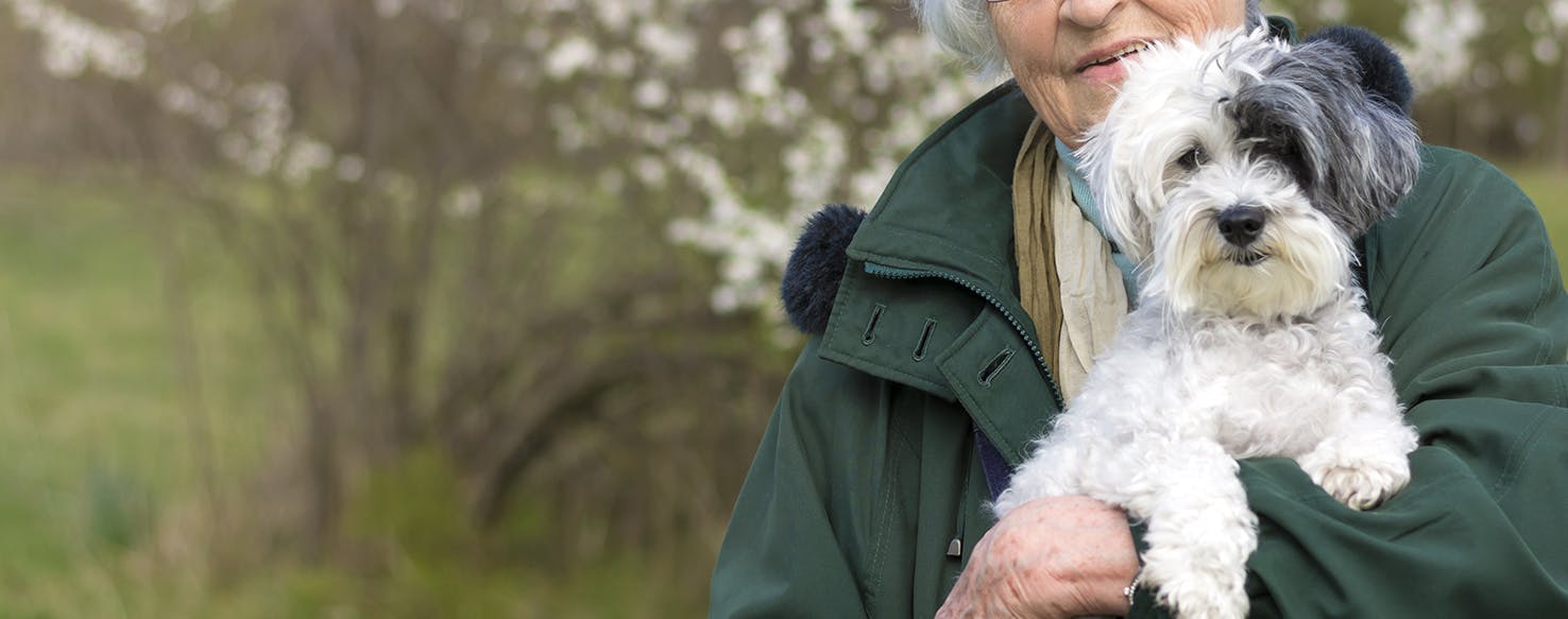 Can Dogs Help You Live Longer and Healthier?