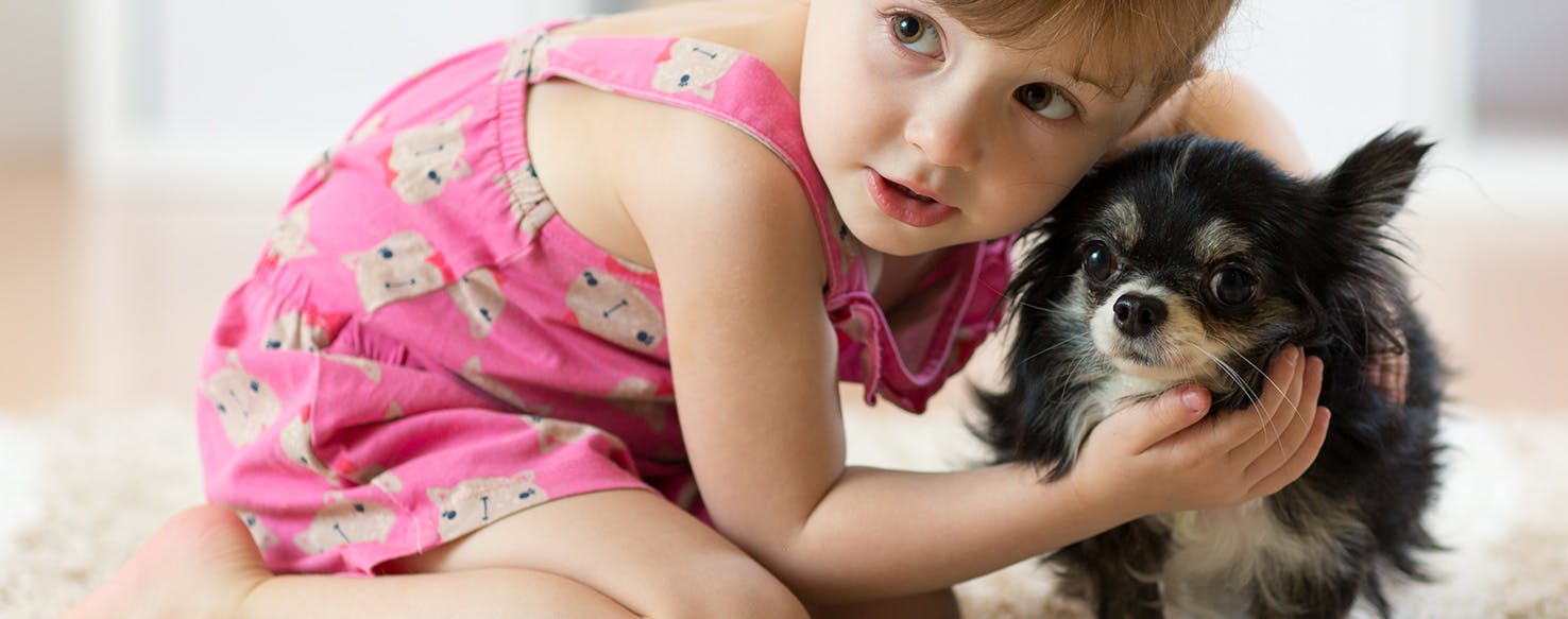 what is the best breed of dog for a child with adhd