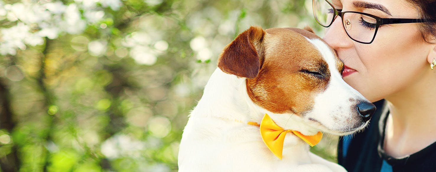 Can Dogs Smell Other Dogs on Clothes?