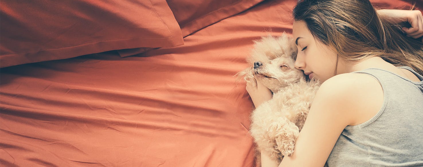 Can Dogs Help with Insomnia?