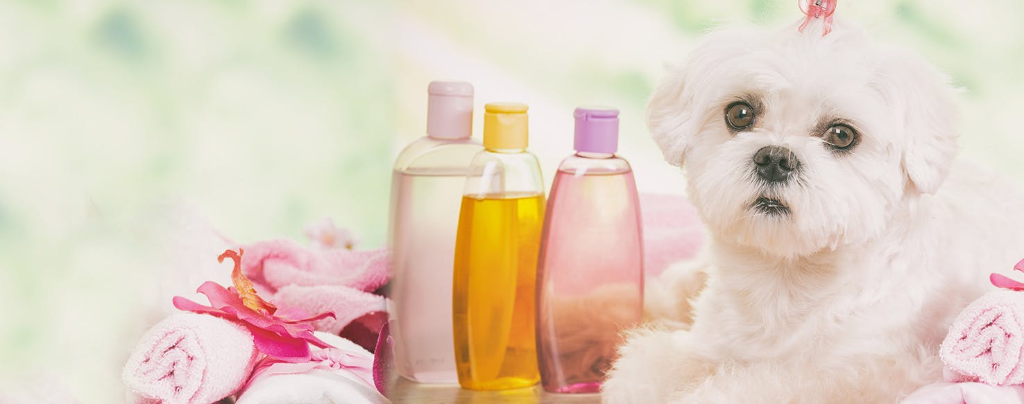 best baby shampoo for dogs