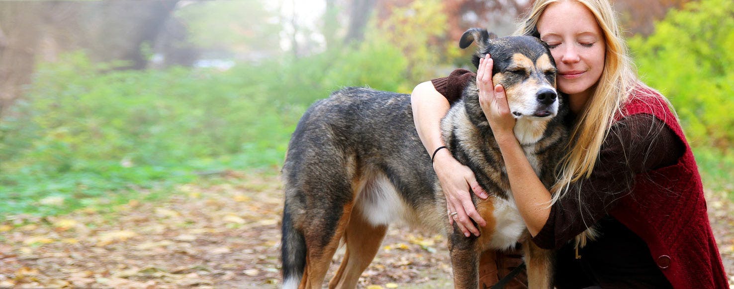 Can Dogs Understand Hugs?
