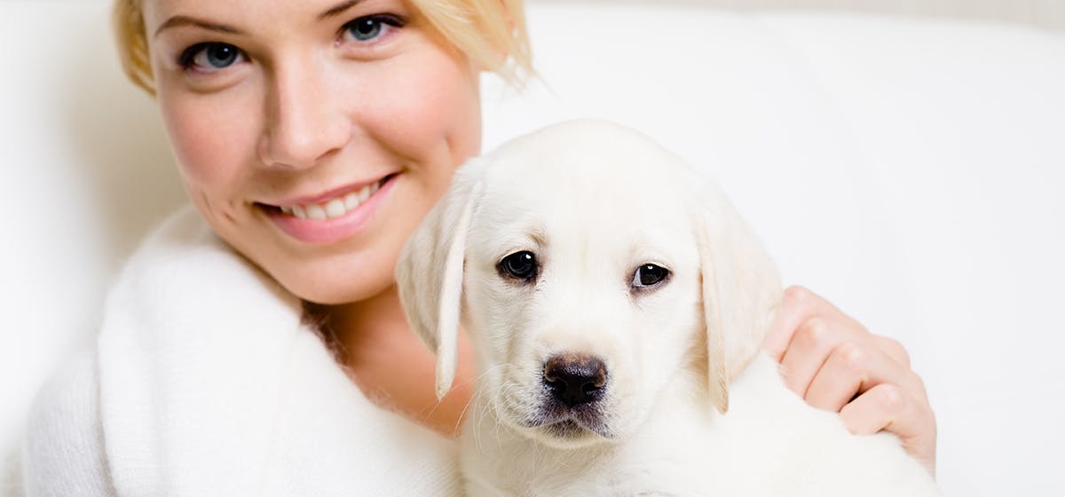 can-dogs-see-human-teeth